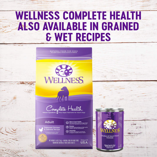 Wellness Natural Pet Food Complete Health Natural Grain Free Dry Dog Food, Chicken, 24-Pound Bag