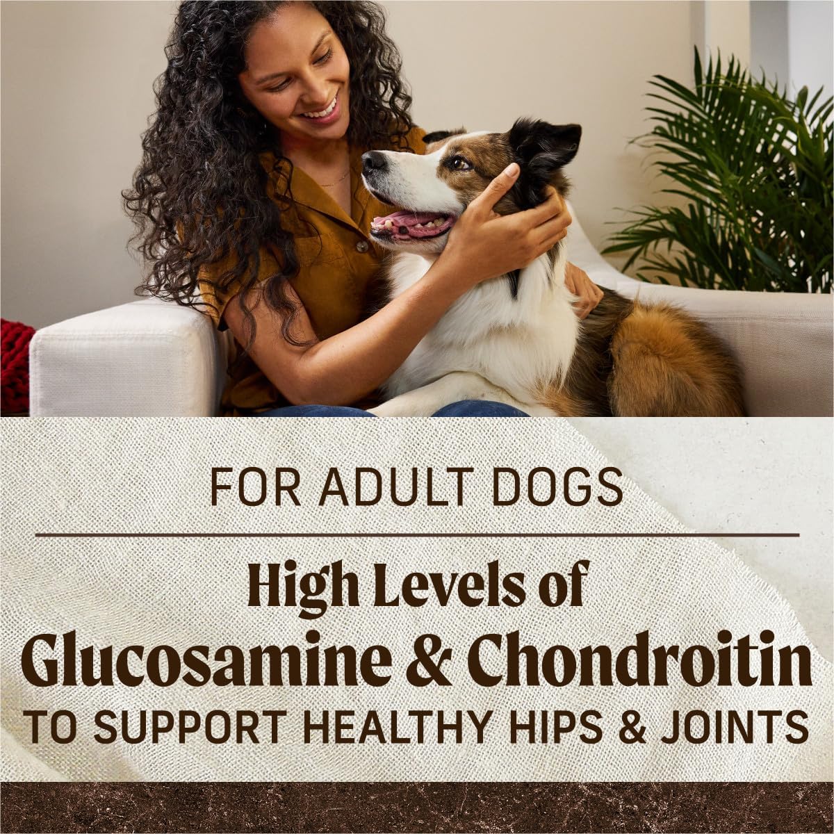 Merrick Premium Grain Free Dry Adult Dog Food, Wholesome And Natural Kibble, Real Texas Beef And Sweet Potato - 22.0 lb. Bag