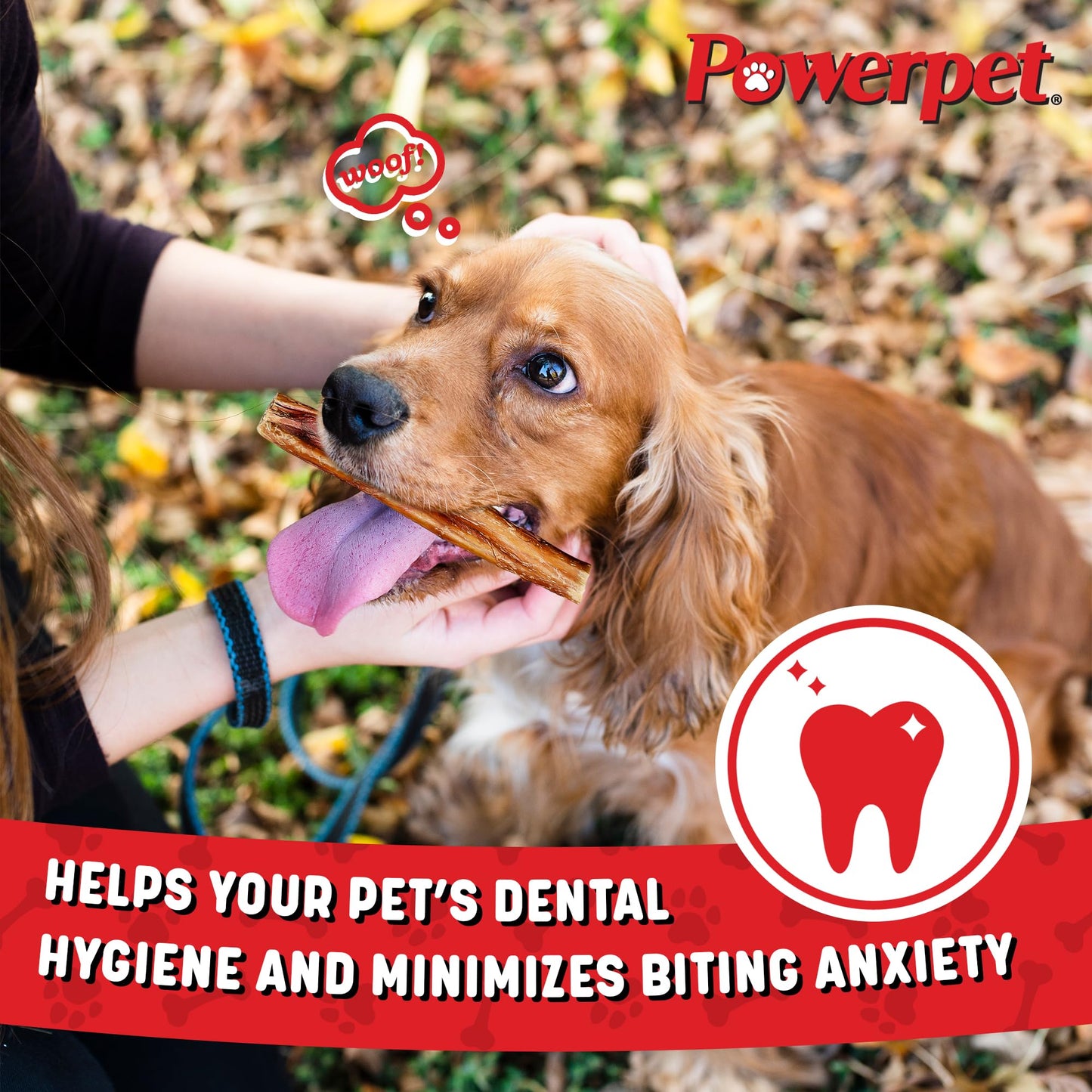 Powerpet 100% Natural Steer Stick (Bully Stick) - Odorless, High Protein, Low Fat, Healthy Dog Treats, Long-Lasting Chews, Highly Digestible, Cleans Teeth, Treats for All Breeds & Sizes, 4" - 20 Pack