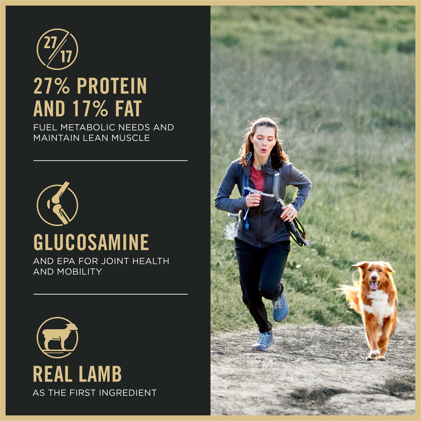 Purina Pro Plan High Protein Dog Food, Small Bites, SPORT 27/17 Lamb and Rice Formula - 37.5 lb. Bag