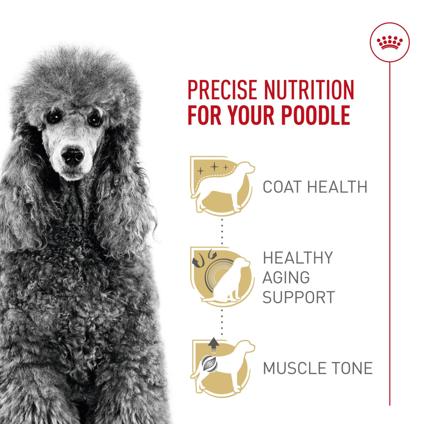 Royal Canin Poodle Adult Breed Specific Dry Dog Food, 2.5 lb bag