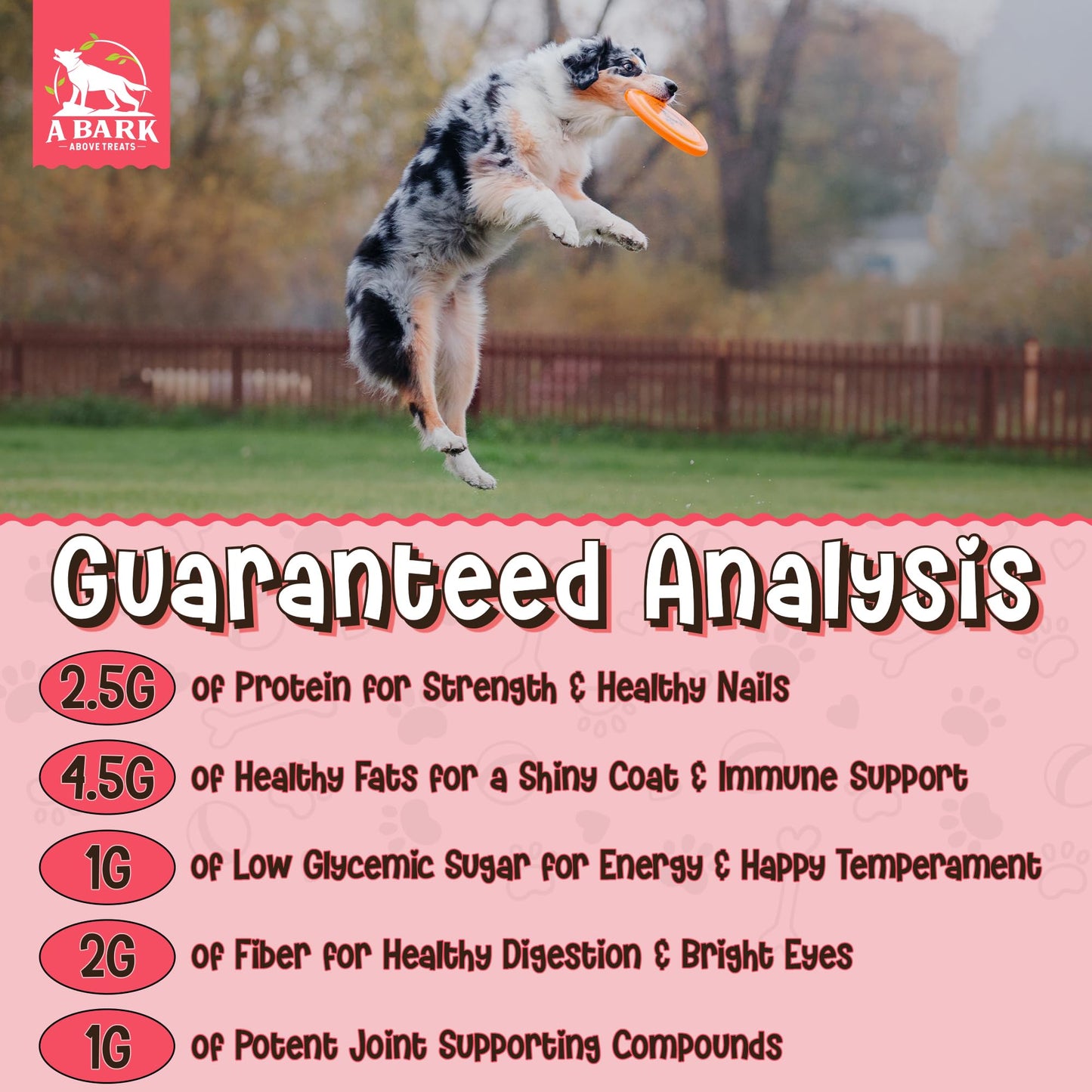Zoomie Butter Hip & Joint Dog Peanut Butter Spread Supplement, All Natural Dog Treat. Human Grade & Safe Anti Inflammatory Puppy Food, Peanuts & Turmeric for Pain, Stiffness, Grown & Made in USA