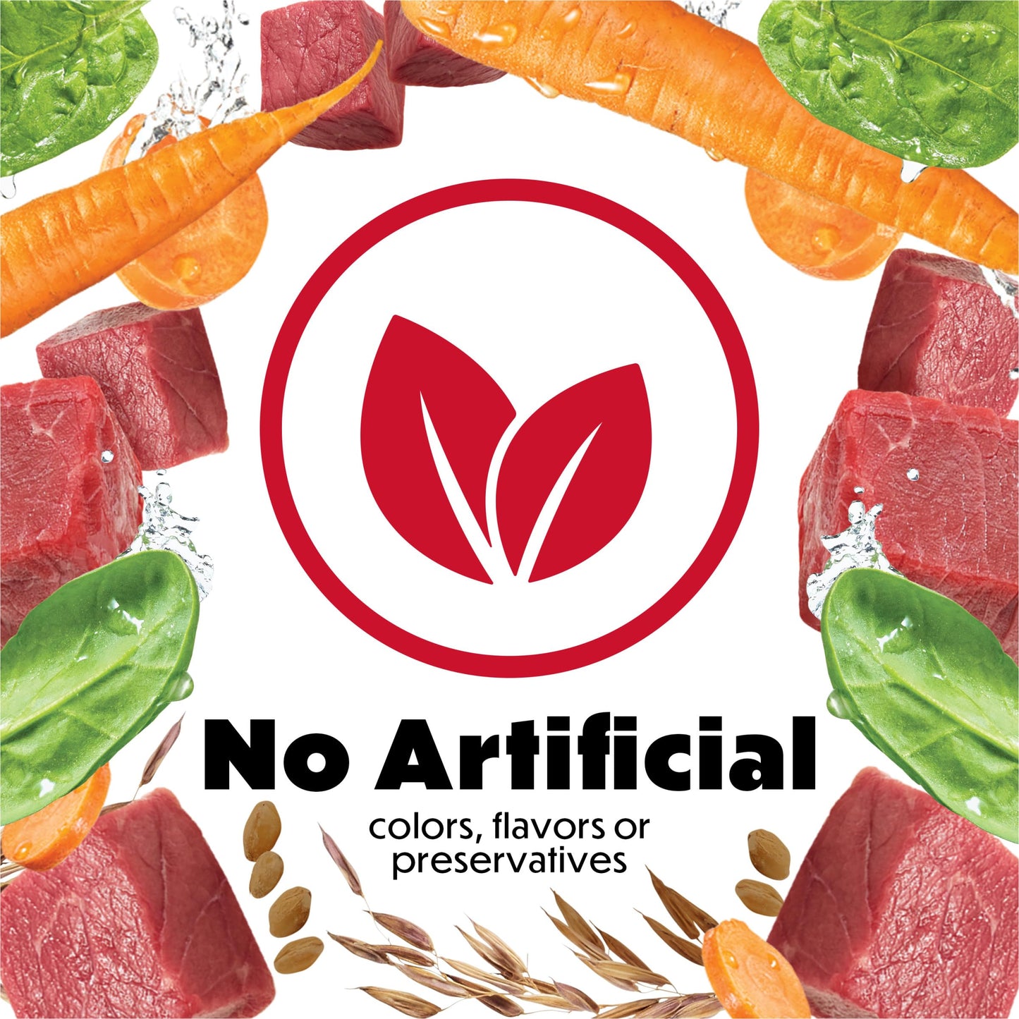 Purina Beneful Gravy Wet Dog Food, Prepared Meals Simmered Beef Entree - (8) 10 oz. Tubs