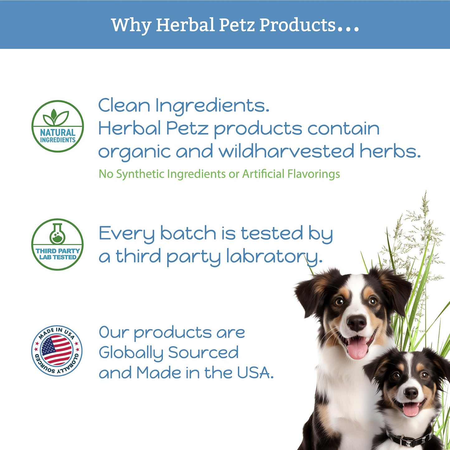 Herbal Petz Canine-Help for Dogs and Puppies - Herbal Health Supplement, Occasional Tummy Upsets, Gut Immune Support, Firm Stools, 1 Fluid Ounce Glass Bottle, Manufactured in The USA