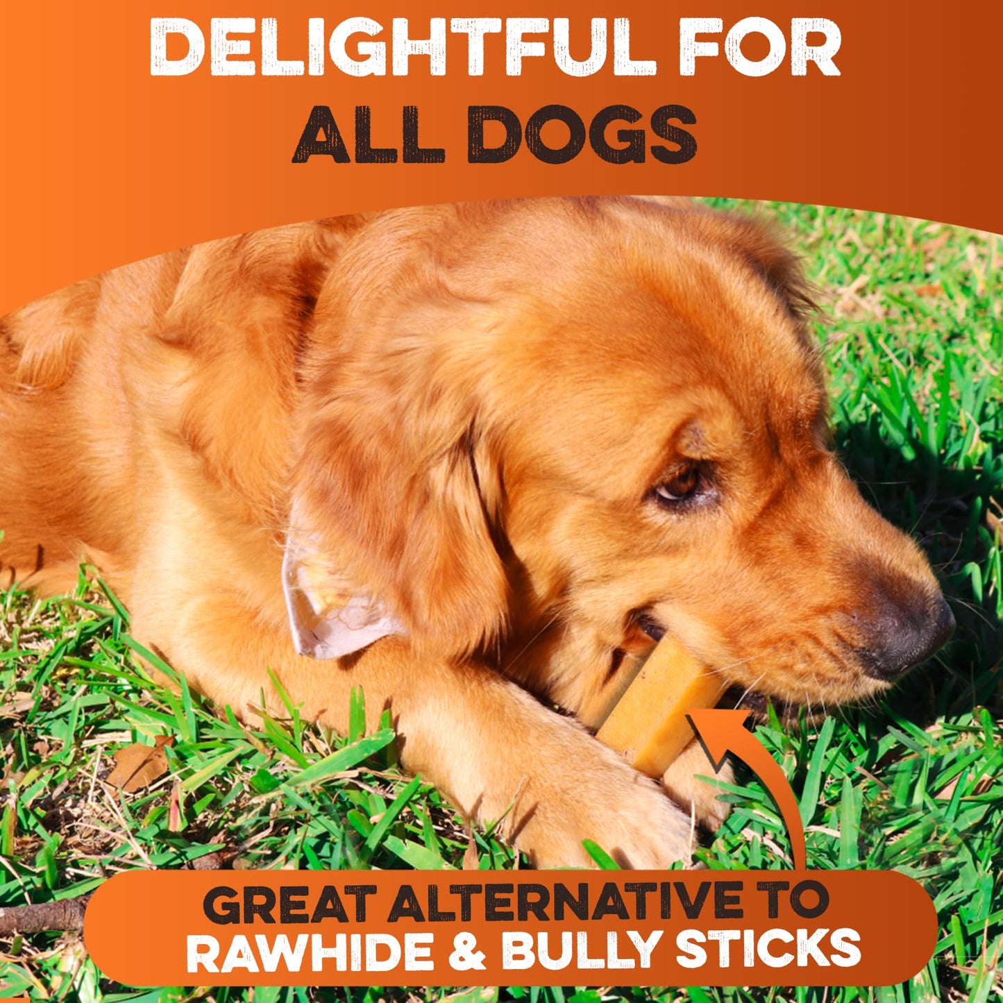 BRUTUS & BARNABY Yak Cheese Himalayan Dog Chews for Aggressive Chewers – Rich in Nutrients, Long Lasting Yak Chews for Small to Large Dogs.(8-pk)