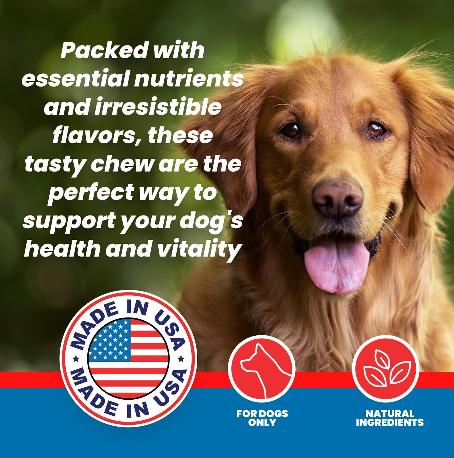 Sparktek Digestive Fiber Blend Chews for Dogs with Pumpkin Psyllum Husk Beet Pulp Developed to Support Reduction in Scooting Behavior and Help Sac Gland Function for Normal Bowel Movement