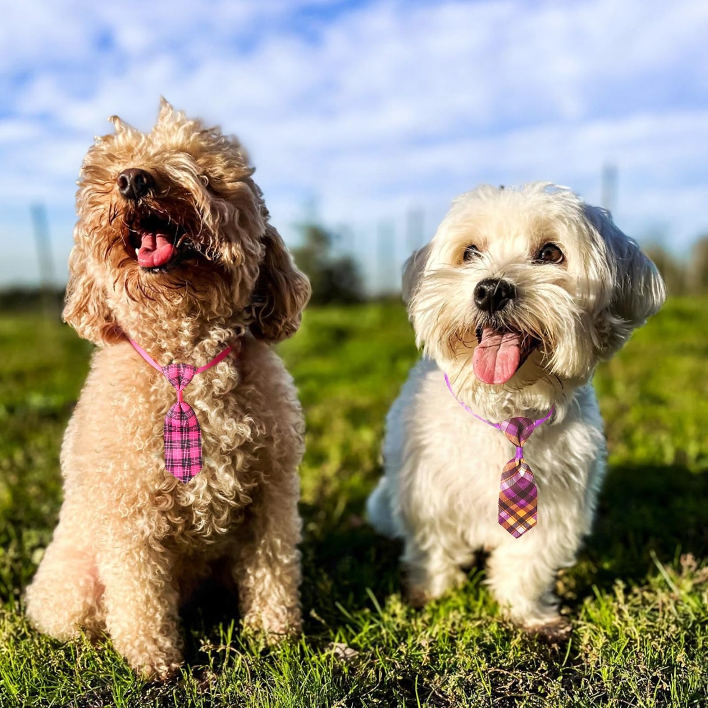 Segarty Dog Bow Tie and Small Dog Tie Set, 100 Pack Adjustable Dog Bowties Cats Neck Tie Collars Bow Ties for Dogs Set Grooming Accessories Bulk for Cats Puppy Dogs Birthday Wedding Holiday Gift Party