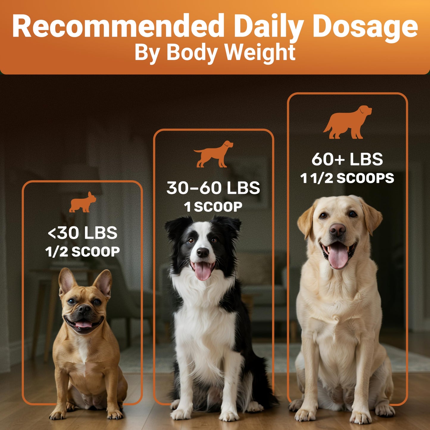 Pumpkin Powder for Dogs with Probiotics - Rich in Fiber, Helps with Digestion, Nutrient Absorption, Diarrhea, Constipation & Upset Stomach - Organic Dog Food Topper - Made in USA