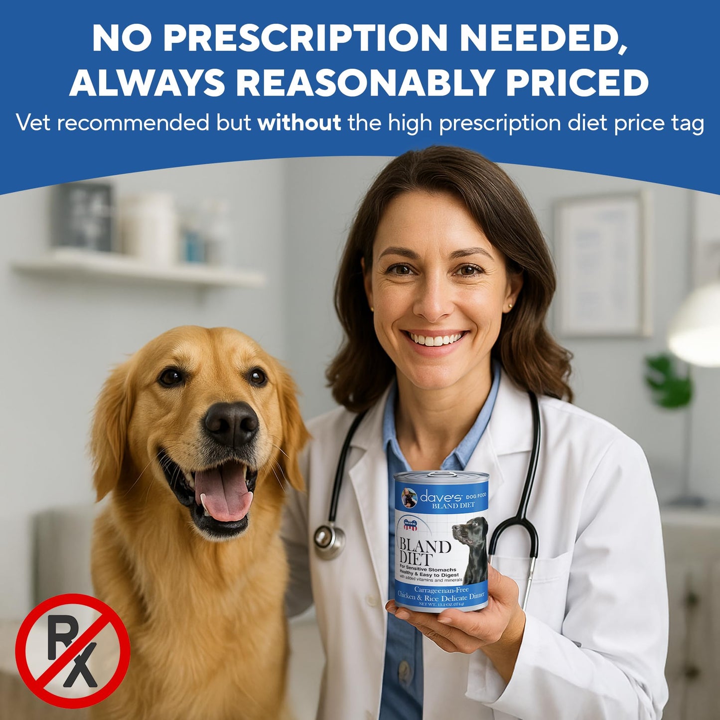 Dave's Pet Food Bland Diet Dog Food (Chicken & Rice), Sensitive Stomach, Easy to Digest, Gluten-Free, Digestive Care, Wet Canned, 13.2 oz (Case of 12)