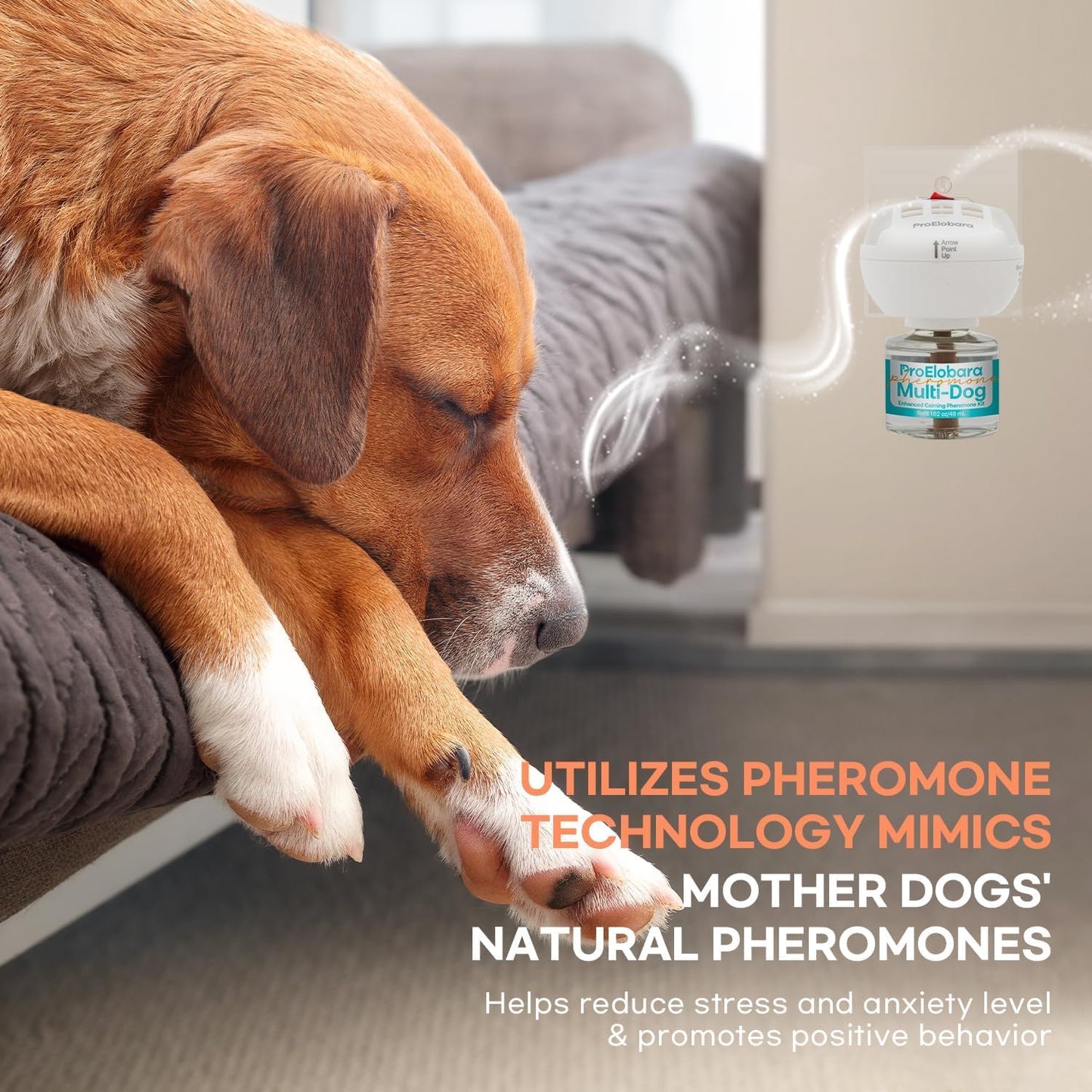 ProElobara Dog Calming Pheromone Plug Diffuser: Dog Calming Pheromones Diffuser - Reduces Stress & Anxiety Calming Pheromone Diffuser for Dogs - Calm Dogs 60 Supply