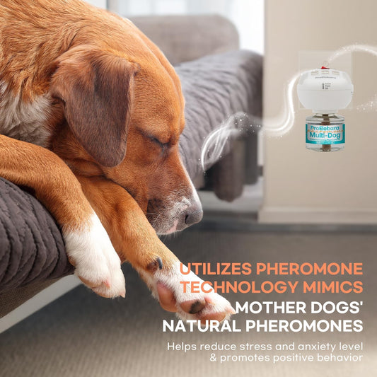 ProElobara Dog Calming Pheromone Plug Diffuser: Dog Calming Pheromones Diffuser - Reduces Stress & Anxiety Calming Pheromone Diffuser for Dogs - Calm Dogs 60 Supply