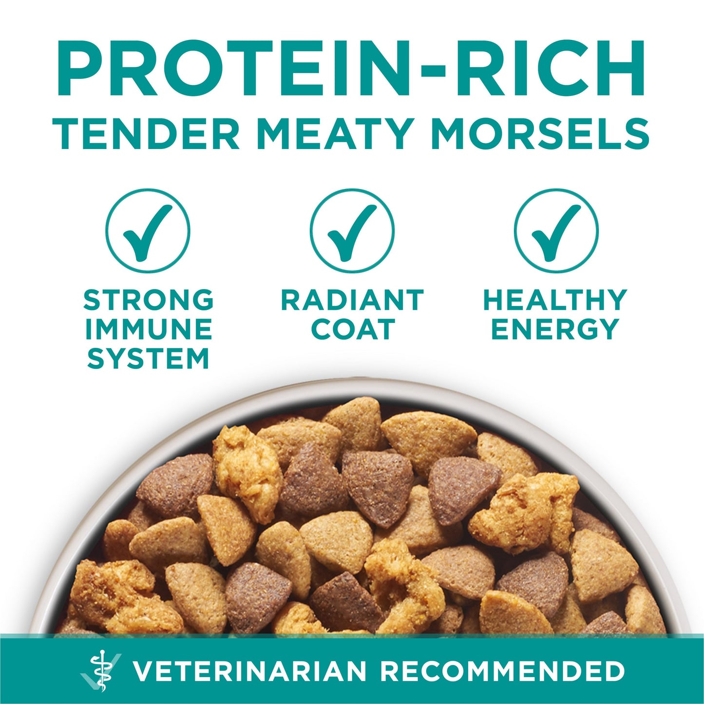 Purina One Plus Digestive Health Formula Dry Dog Food Natural with Added Vitamins, Minerals and Nutrients - 16.5 Lb. Bag