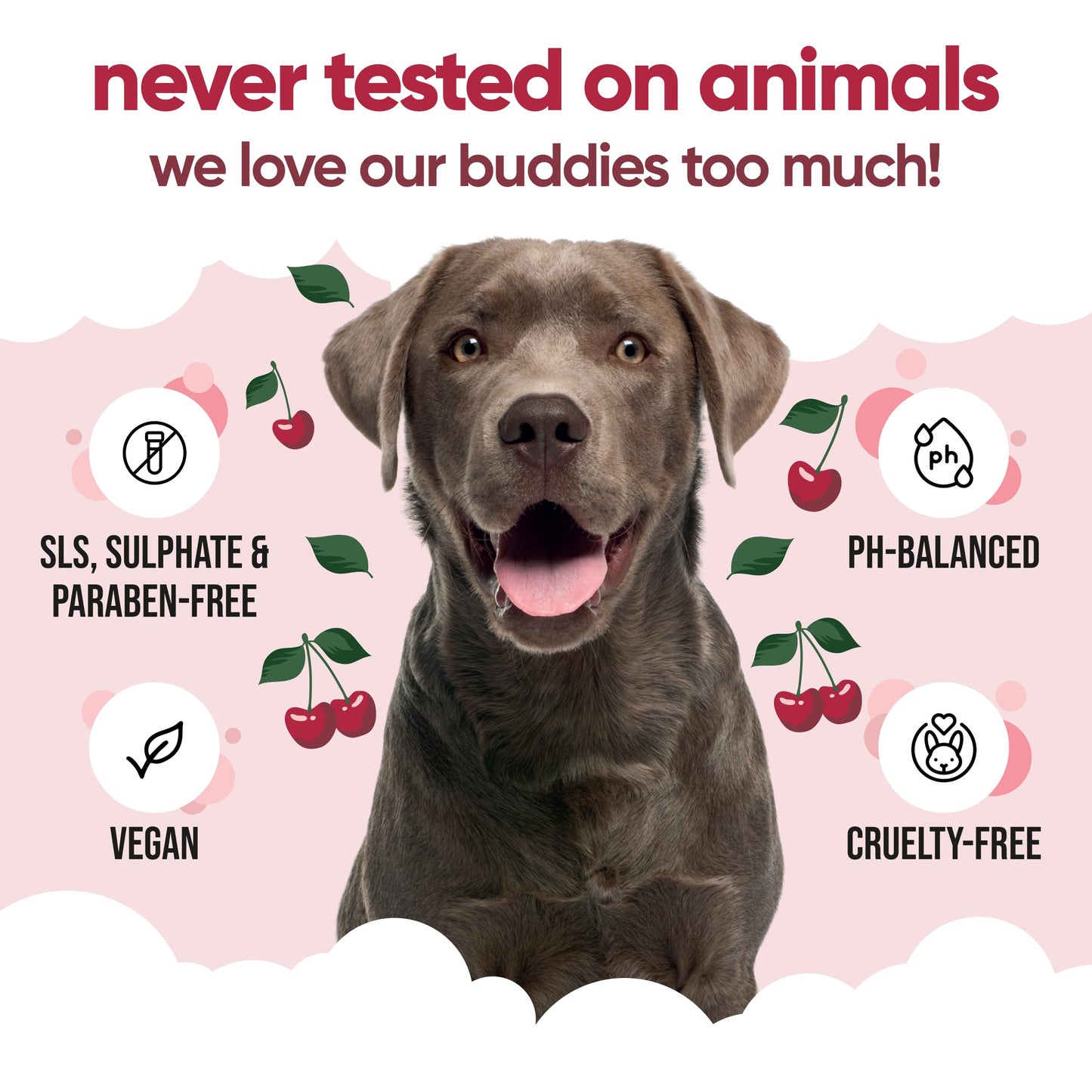 Black Cherry Dog Shampoo by Buddycare | Dry Skin & Itchy Skin Relief for Smelly Dogs | Deep Cleansing for Dogs Puppy Sensitive Skin | Dog Shampoo & Conditioner | with Aloe & Vitamin B5 (16.90oz)