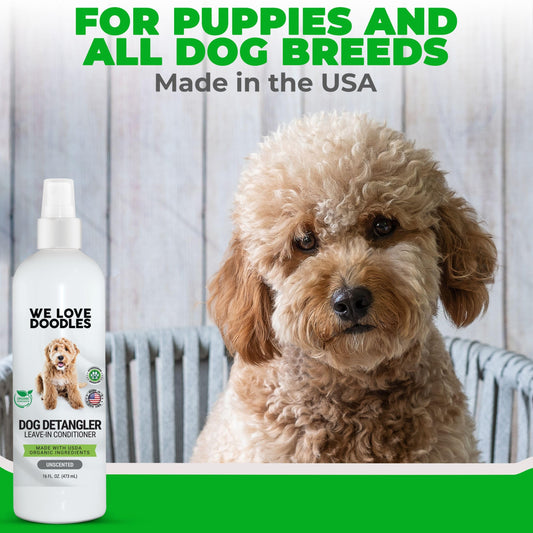 We Love Doodles Premium Oatmeal Shampoo & Detangler Spray for Dogs - Gentle For Itchy & Sensitive Skin, Soothing for Dry Skin, Moisturizing Anti-Itch, Leave-in Conditioner Tangle Remover - Made in USA