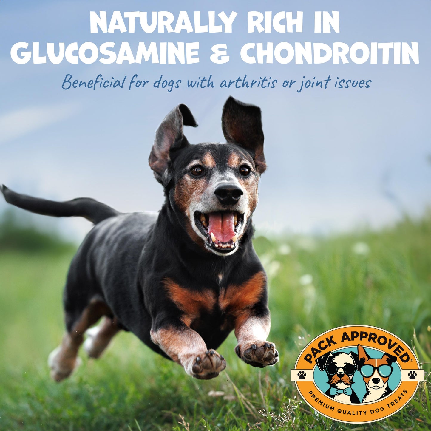 Beef Trachea for Dogs Smoke Rings - Natural Dog Chews Rawhide Free - Rich in Glucosamine Chondroitin for Joint Support, Mobility, & Training - Crunchy Dog Trachea Treats - (10 oz)