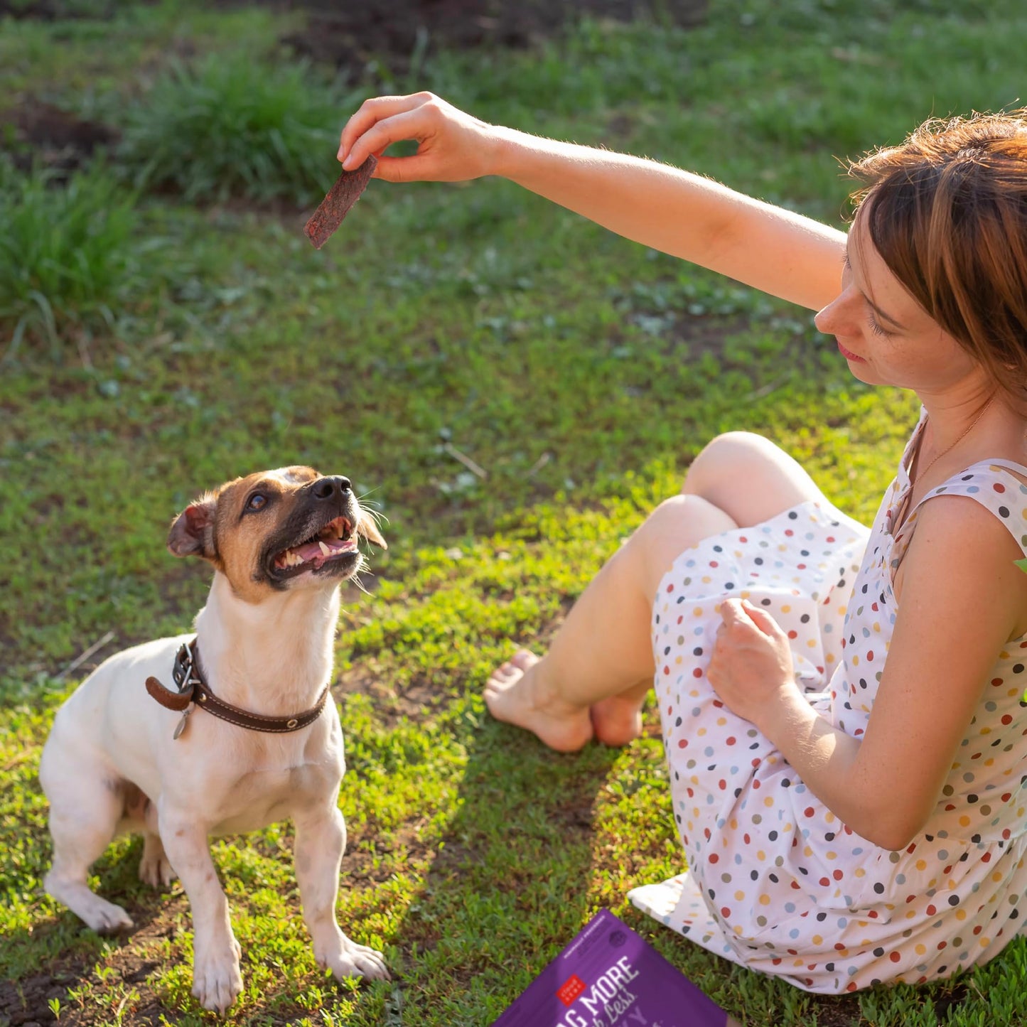 Cloud Star Wag More Bark Less 10 oz Grain Free Jerky Dog Treats with Duck & Apple