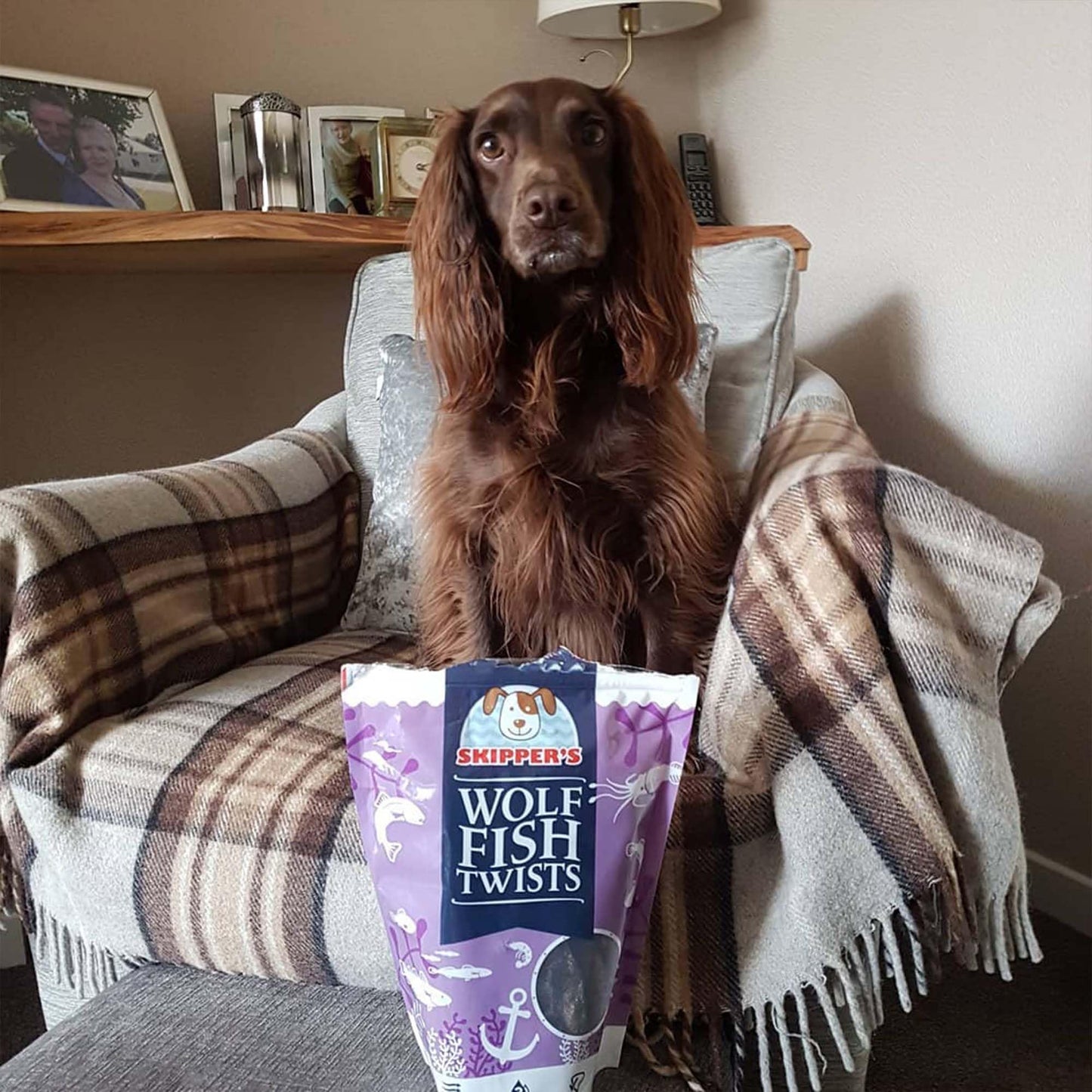 SKIPPER'S Wolf Fish Skin Twists Dog Chews - 100% Fish Skin Grain Free Treats for Dogs, High in Protein & Low in Fat, Essential Omega 3 Oils | Great for Teeth (Regular, 9 Oz)