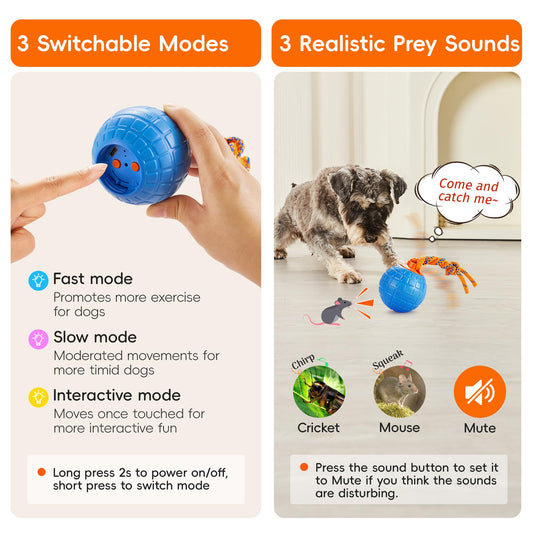 Potaroma Interactive Dog Ball Toys Touch Activated, Rechargeable Animal Sound Dog Toy, Durable Moving Ball for Pup with Chewing Rope for Dogs Puppy, Blue
