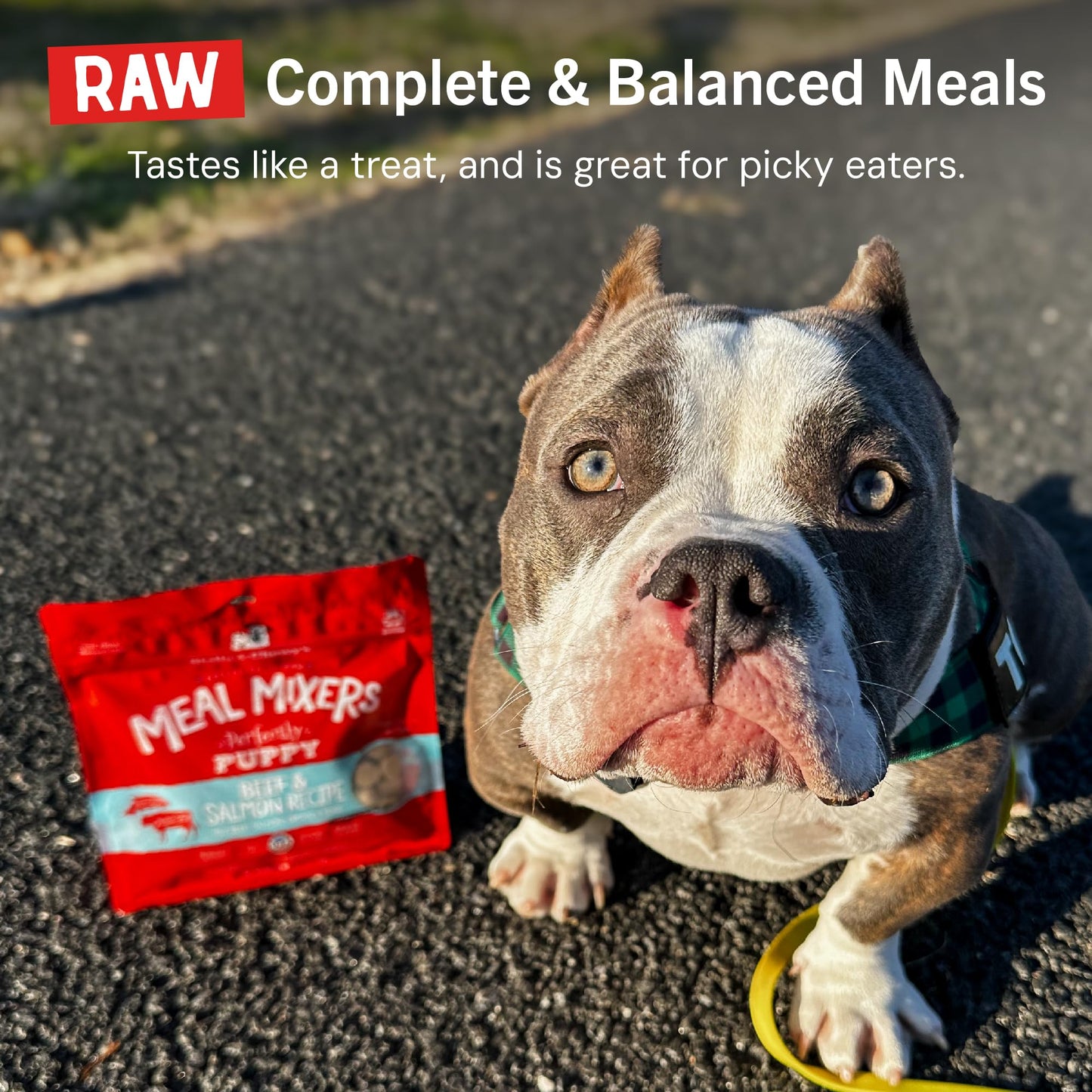 Stella & Chewy's Freeze Dried Raw Meal Mixers – Crafted for Puppies – Grain Free, Protein Rich Perfectly Puppy Beef & Salmon Recipe – 3.5 oz Bag