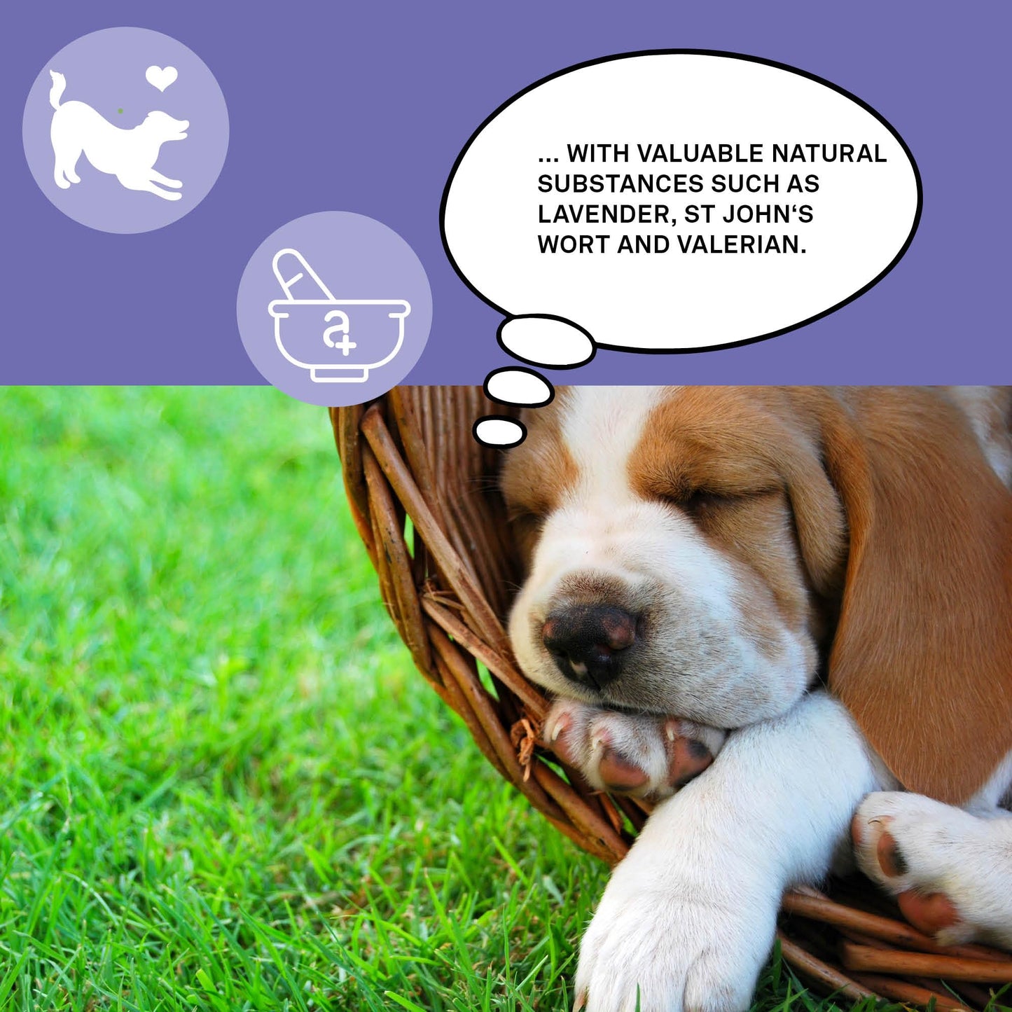 animaux Daily Balance – 40 Chewable Tablets for Dogs with Valerian, St. John's Wort & Lavender | Herbal Supplement for Dogs