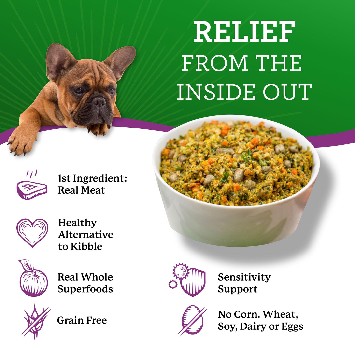 Dr. Harvey's Specialty Diet Limited Ingredient - Human Grade Dog Food for Dogs with Sensitivities - Lamb Recipe (5 Pounds)