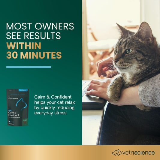 VetriScience Calm & Confident Chews, Composure Calming and Anxiety Supplement for Cats, Reduce Stress and Fear, Ideal for Travel, Vet, Grooming and Routine Changes, Trout, 30 Count