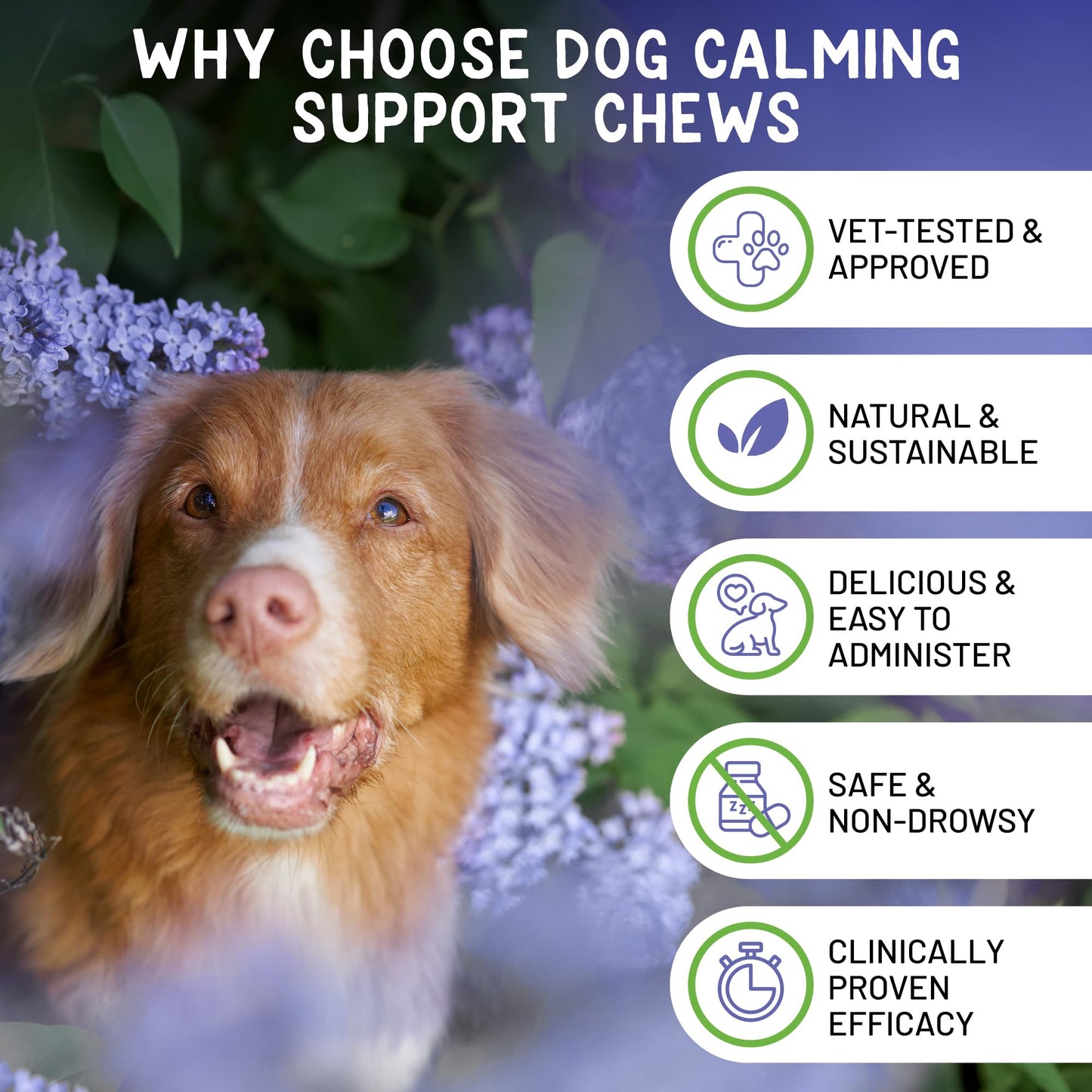 Dog Calming Chews - Anxiety Relief Treats - Calming Chews for Dogs with Natural Souroubea - Calming Treats for Dogs Help Manage Stress and Promote Relaxation, Anxiety Relief for Dogs, Made in the USA