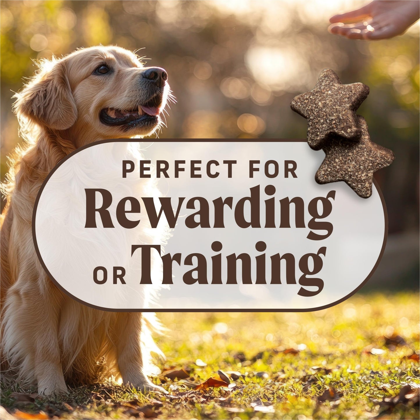 Merrick Power Bites Natural Soft And Chewy Real Meat Dog Treats, Grain Free Snack With Real Chicken Recipe - 6 oz. Bag