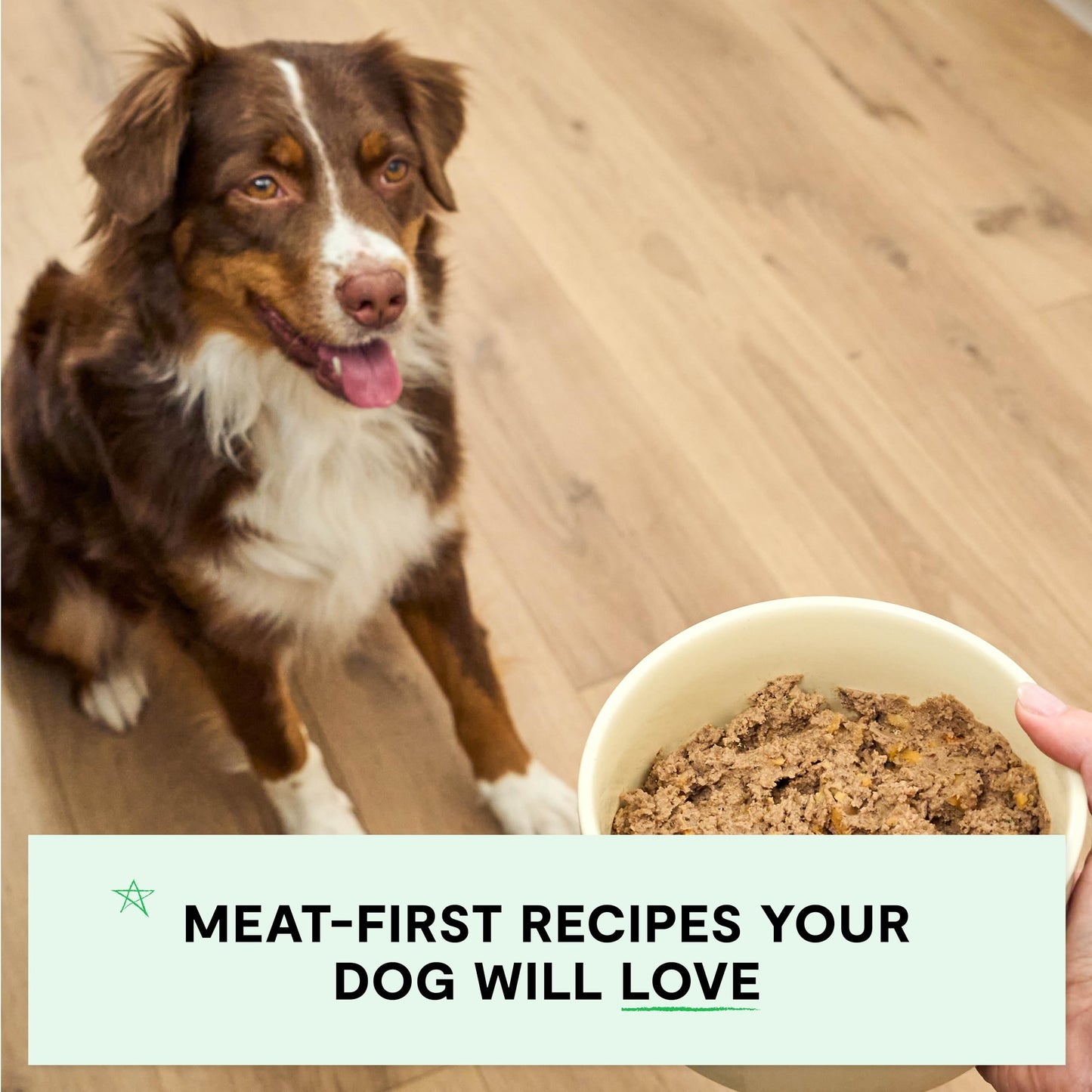 Open Farm Canned Dog Food, Paté for Complete & Balanced Nutrition, Grain-Free and Legume-Free, Chicken & Salmon Recipe, 12.5oz Cans (Pack of 12)