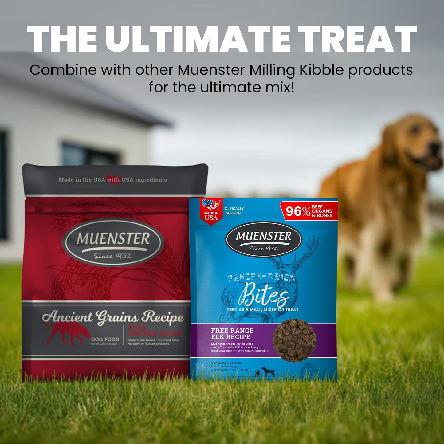 Muenster Freeze Dried Elk Bites - Dog Food, Treat, Mixer or Topper (16oz) - Grain-Free