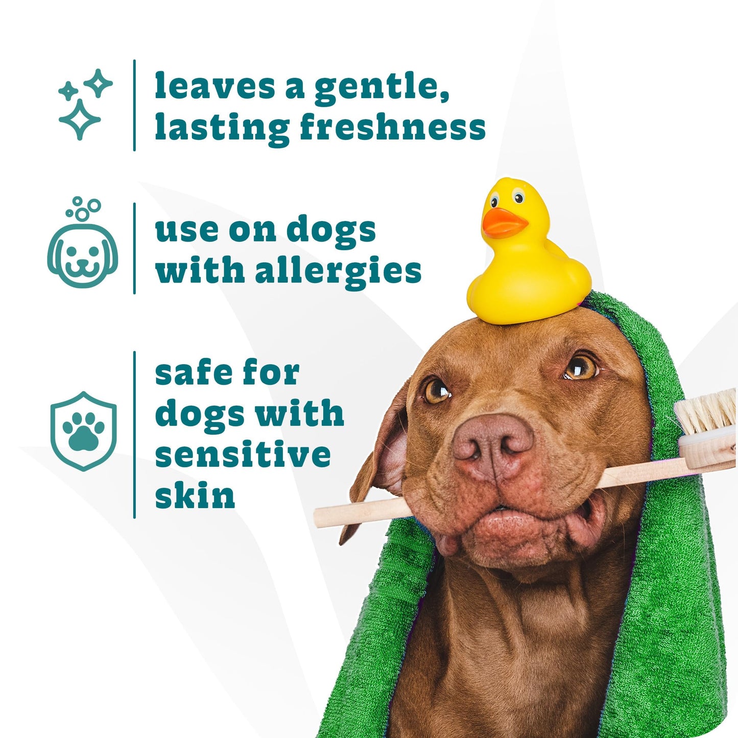 Espree Hypoallergenic Dog Shampoo & Conditioner, Tearless Formula with Aloe Vera, Sulfate-Free, Paraben-Free, Harsh Chemical and Dye-Free, Safe for Sensitive Skin, Gallon