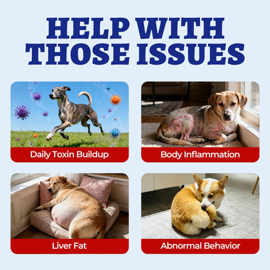 260 Bites Wellix Liver Support for Dogs - Milk Thistle for Dog Liver Supplements with Omega-3 - Supports Heart & Antioxidant for Large,Small Breed Fogs -Chicken Flavor