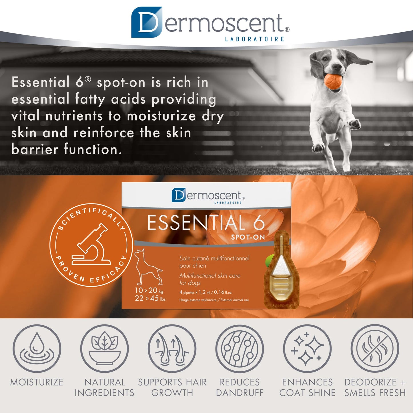 Dermoscent Essential 6 spot-on - Dog Skin Care for Dandruff & Allergy Relief with Vitamin E Oil - Anti Itch for Dogs - Natural Ingredients for Sensitive Skin - Dogs 10-20 kg - 4 Pipettes of 1.2 ml