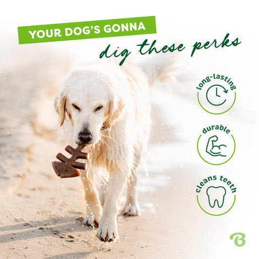 Monster K9 Indestructible Dog Ball Durable Dog Toy for Aggressive Chewers - Safe, Non-Toxic Natural Rubber - Chew & Fetch - Heavy Duty - USA Made - 2.8” Solid (Tennis Ball Size)