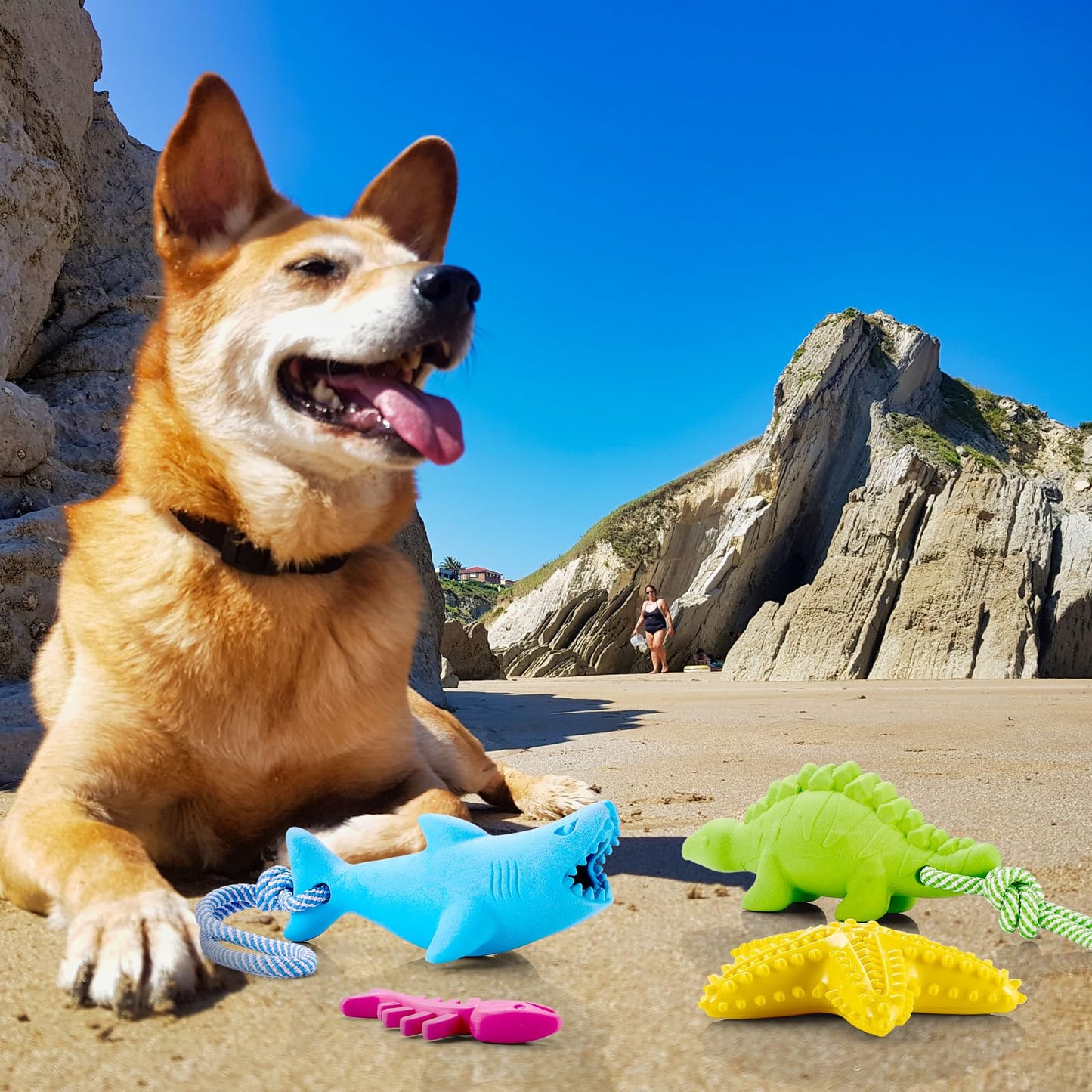 WinnerWhy 4 Pack Floating Dog Toys for Aggressive Chewers Summer Interactive Fetch Games Natural Teeth Cleaning for Small Medium Dogs Shark Dino Fish Starfish Set