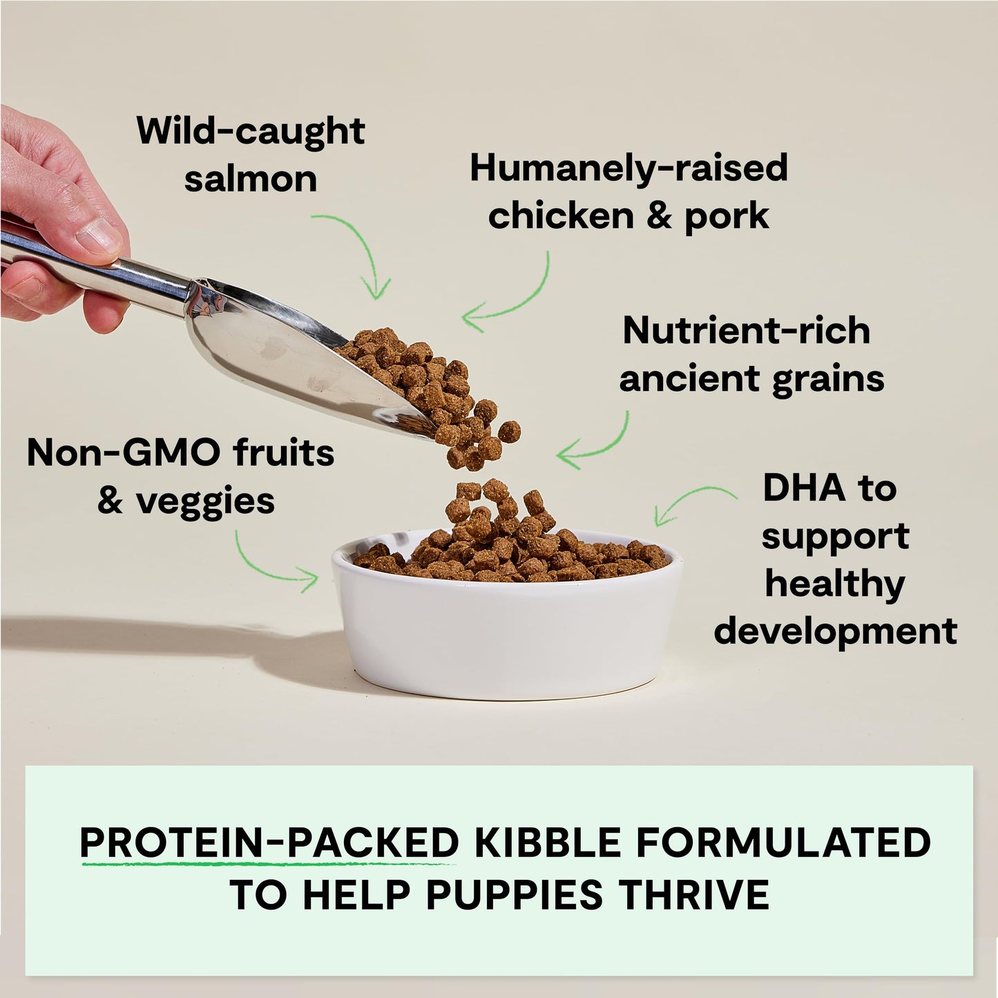 Open Farm, Ancient Grains Dry Dog Food for Puppies, Protein-Rich & Nutrient Dense, 90% Animal Protein Mixed with Non-GMO Fruits, Veggies and Superfoods, Chicken & Salmon Recipe for Puppy, 4lb Bag