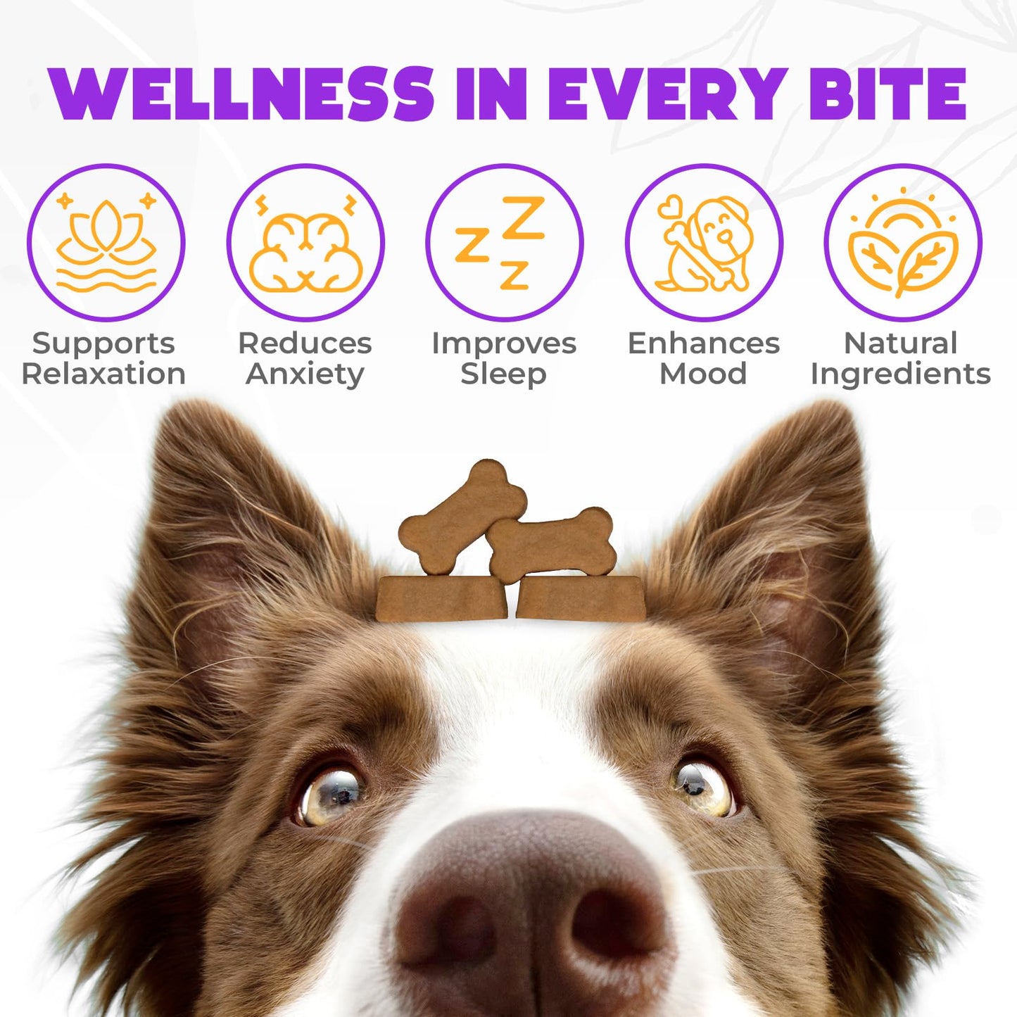 Hemp Calming Chews for Dogs Anxiety 200 pcs - Chicken Flavored - Dog Anxiety Relief - Dog Calming Chews - Melatonin for Dogs - for Stress, Travel, Check-up, Barking or Grooming - Dog Calming Treats