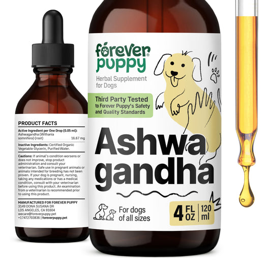 Forever Puppy Ashwagandha Drops for Dogs - Calming Care with Ashwagandha Root Tincture - Liquid Alternative to Calming Chews for Dogs' Composure & Relaxation - Canine Vitamins and Supplements - 4 oz