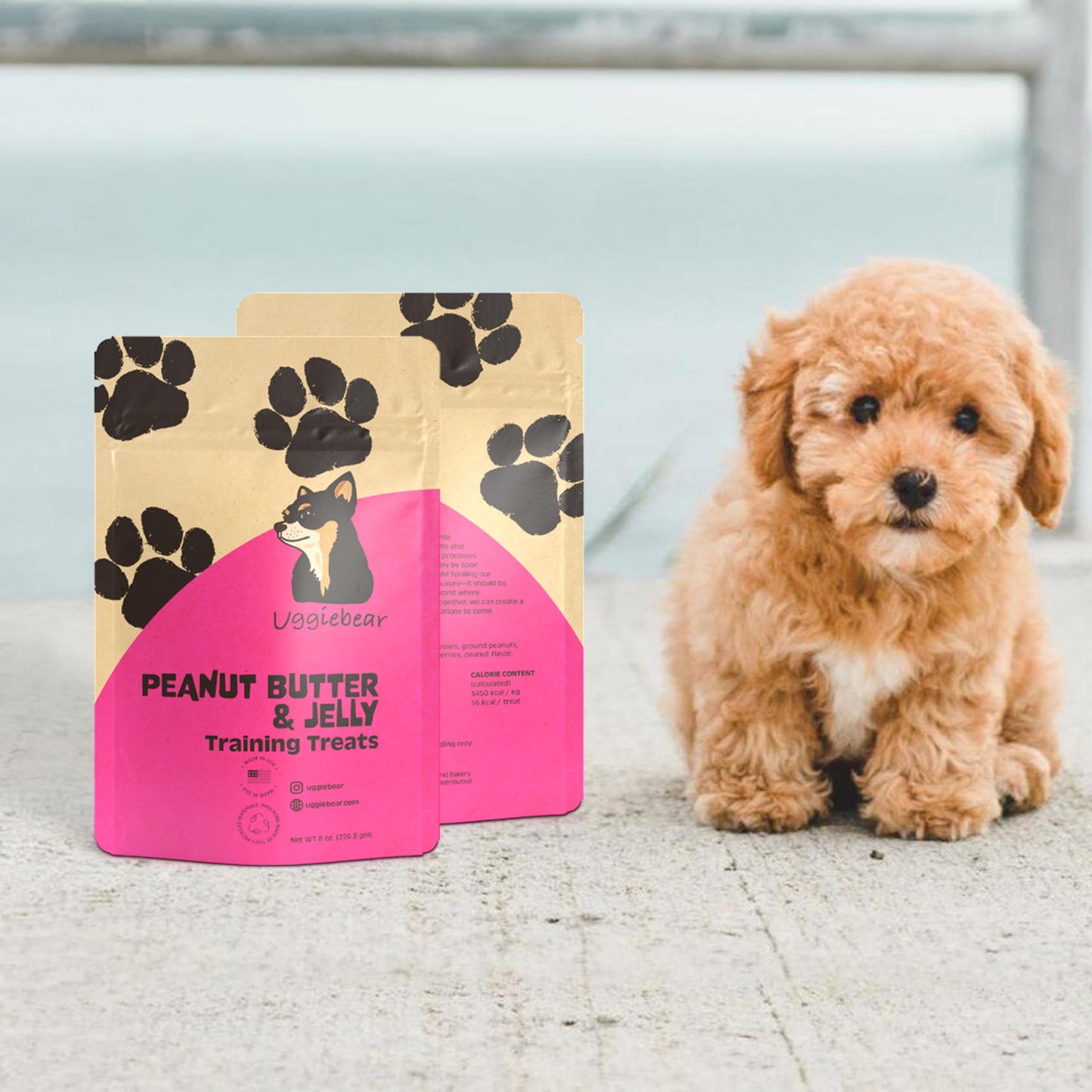 Uggiebear Grain Free, All Natural, Peanut Butter & Jelly Flavored, Healthy Low Calorie Dog Treats, Made in The USA