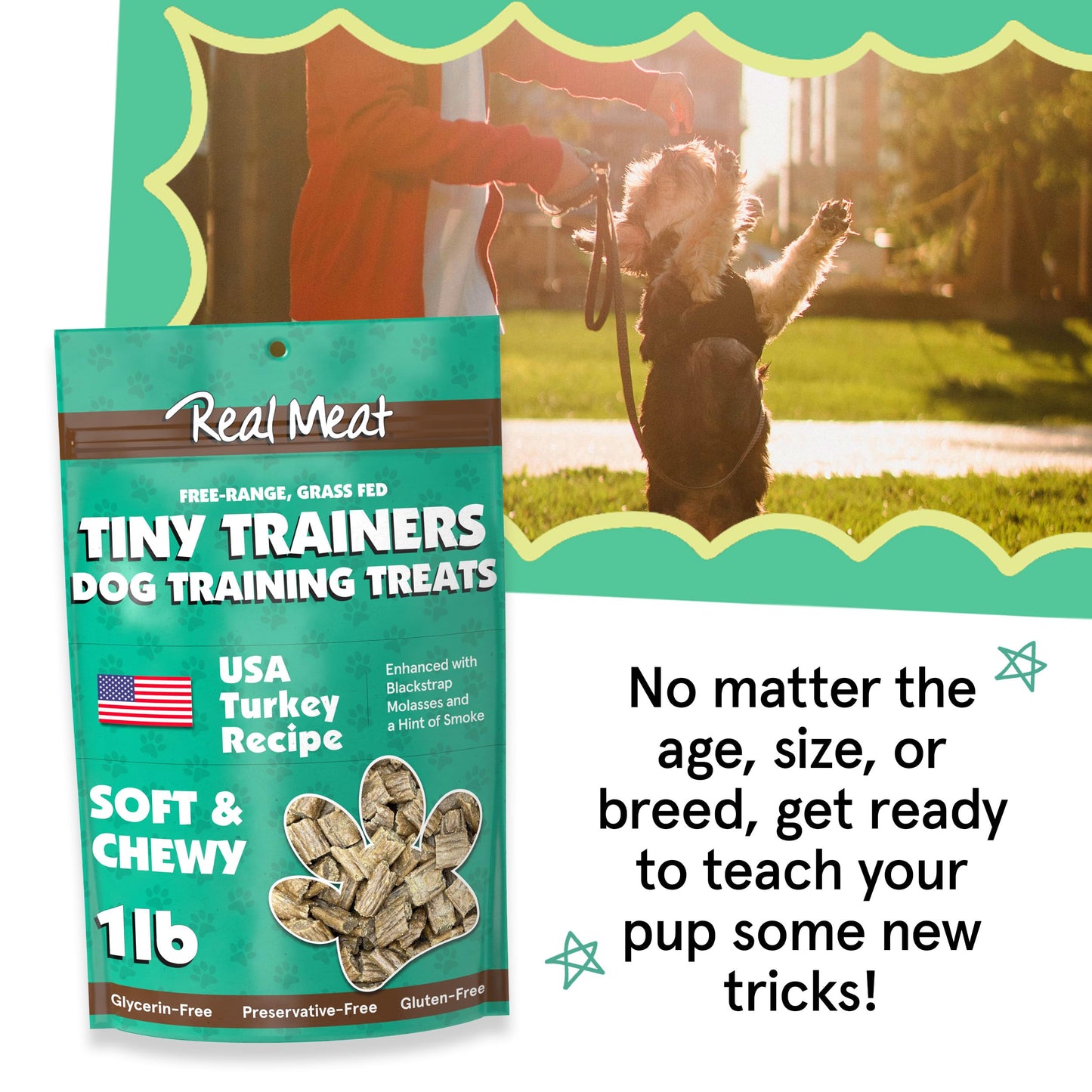 Real Meat Tiny Trainer Bites Dog Treats - 1lb of USA-Made Soft & Chewy Air-Dried Turkey Training Treats for Dogs & Puppies - All-Natural Grain-Free Dog Training Treats With Free-Range Cage-Free Turkey
