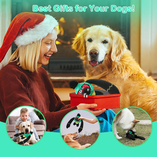 Zrbtk Tough Dog Toys – Crinkle Dog Chew Toys to Keep Them Busy, Interactive Treat Dispensing Puppy Puzzle Toys for Boredom Relief, Less Stuffed Pet Toys for Small, Medium and Large Dogs (Green)