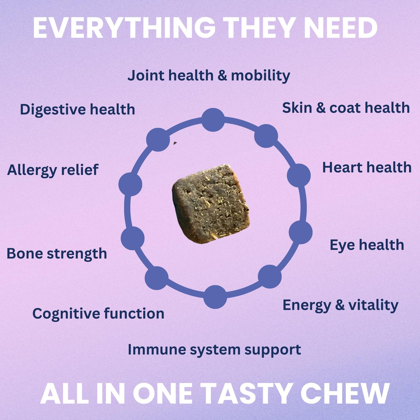 Under the Weather Multivitamin for Dogs | Vet Formulated Daily Canine Health Supplies for Immunity, Skin, Coat & Joint Support | All-in-One Multivitamin for Dogs of All Breeds & Sizes | 60 Count