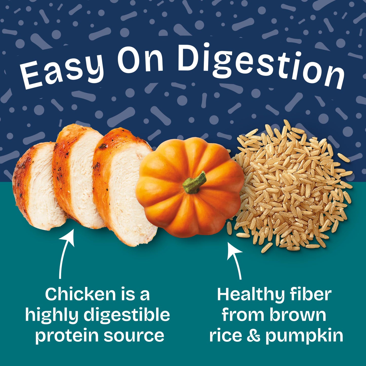 Natural Balance Health Protection Wet Dog Food – Whole Body Health, Easy on Digestion, Chicken, Pumpkin & Brown Rice Stew, Digestive Wellness Dog Food, High in Fiber - 12.5oz (Case of 6)