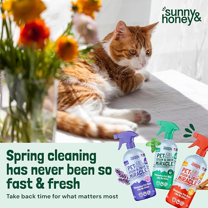 Sunny & Honey Carpet Cleaner - 32 Fl Oz, Spring Mint Scent - Enzyme Cleaner Spray for Pet Stains & Odors - Pet Stain Remover for Carpet, Upholstery & Mattresses