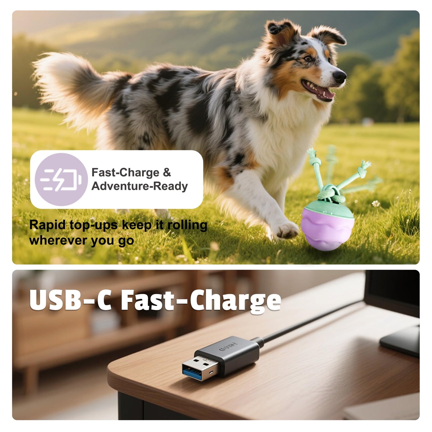 Zelunika Interactive Dog Toys [2025 Upgrade] – Smart Dog Ball, Automatic Motion-Activated Rolling, Random Path, Squeaky Sounds, USB-C Rechargeable LED Light, Indoor/Outdoor Use
