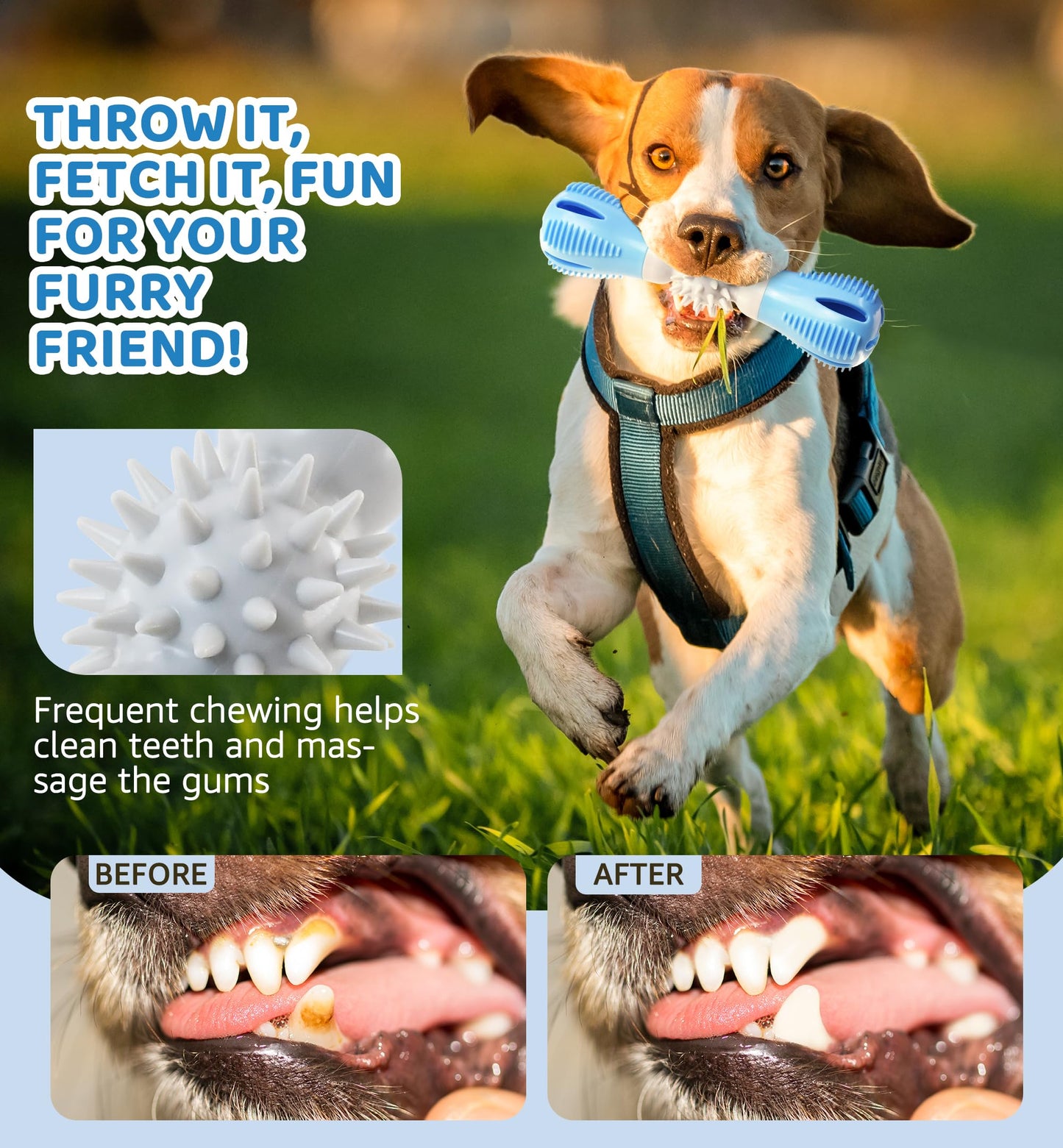 IPTPAS Durable Dog Chew Toy, Natural Rubber Treat Dispensing Puzzle Toy for Small & Medium Breeds – Interactive Teething, Training, and Dental Care Toy to Keep Dogs Engaged & Relieve Boredom (Blue)