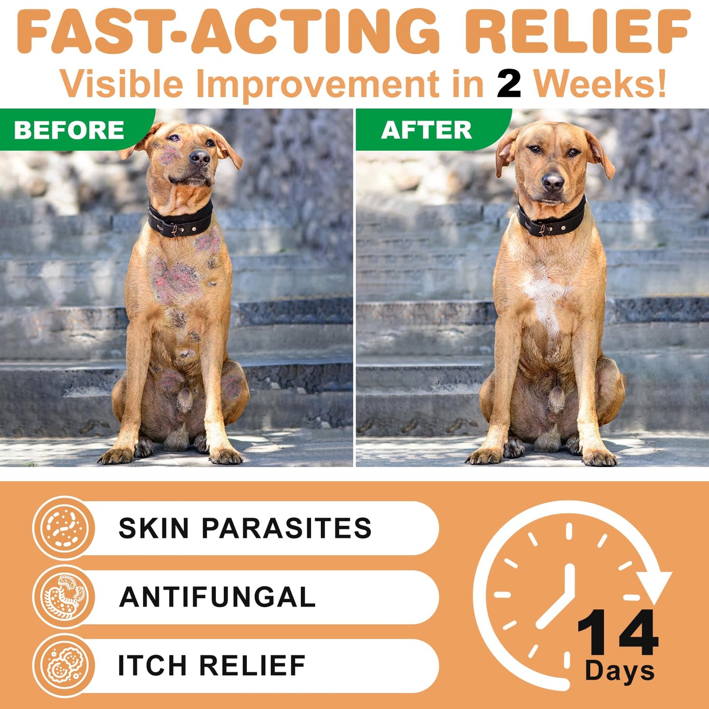 Lime Sulfur Dip (16 oz), Mange Treatment Dogs, Ringworm Treatment for Cats & Dogs, Soothes Itchy and Dry Skin, Promotes Hair Regrowth, Lime Sulfur Shampoo for Cats & Puppies, Low Odor