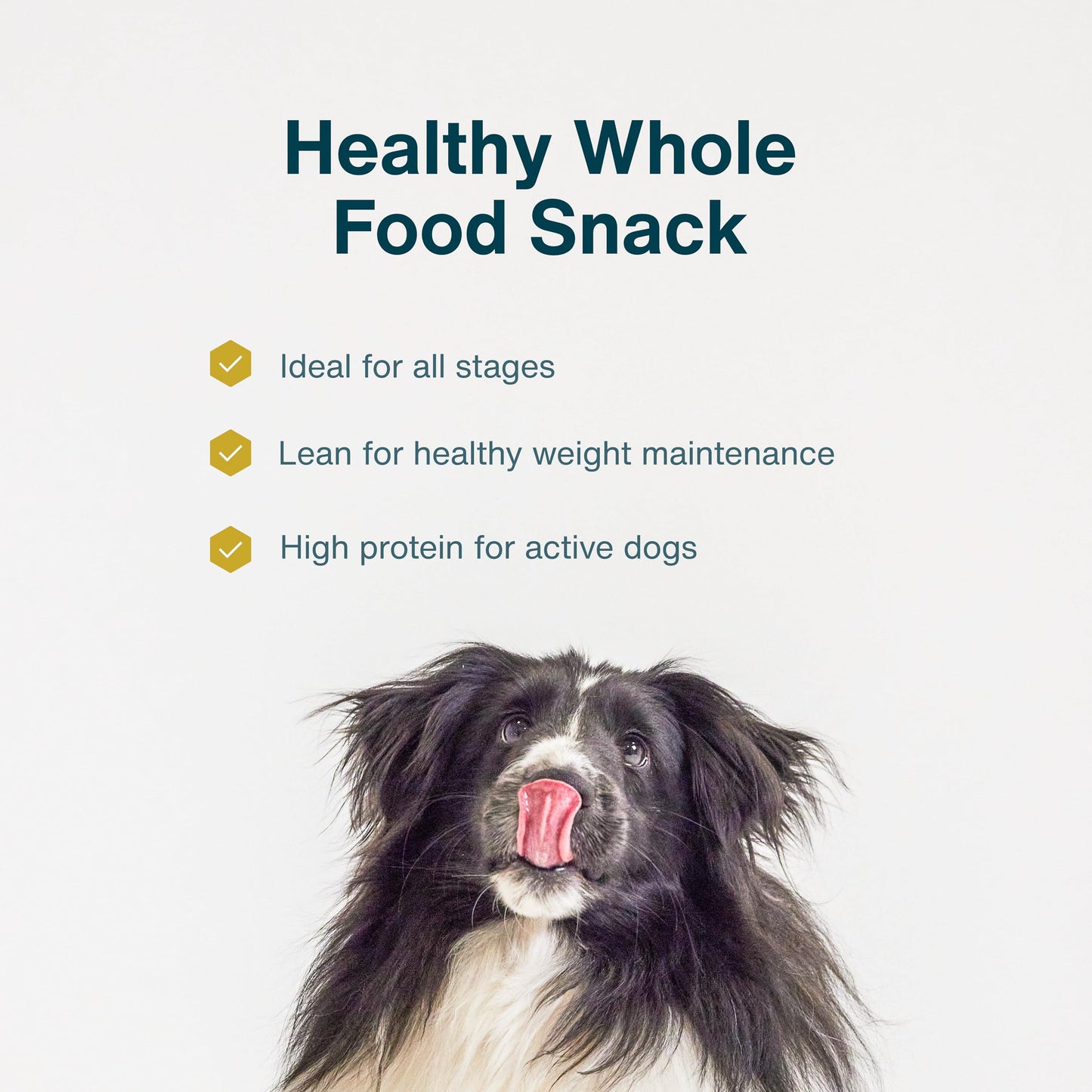 JustFoodForDogs Venison Dog Treats, Single-Ingredient Healthy Dog Treats, Made in The USA, 5 oz