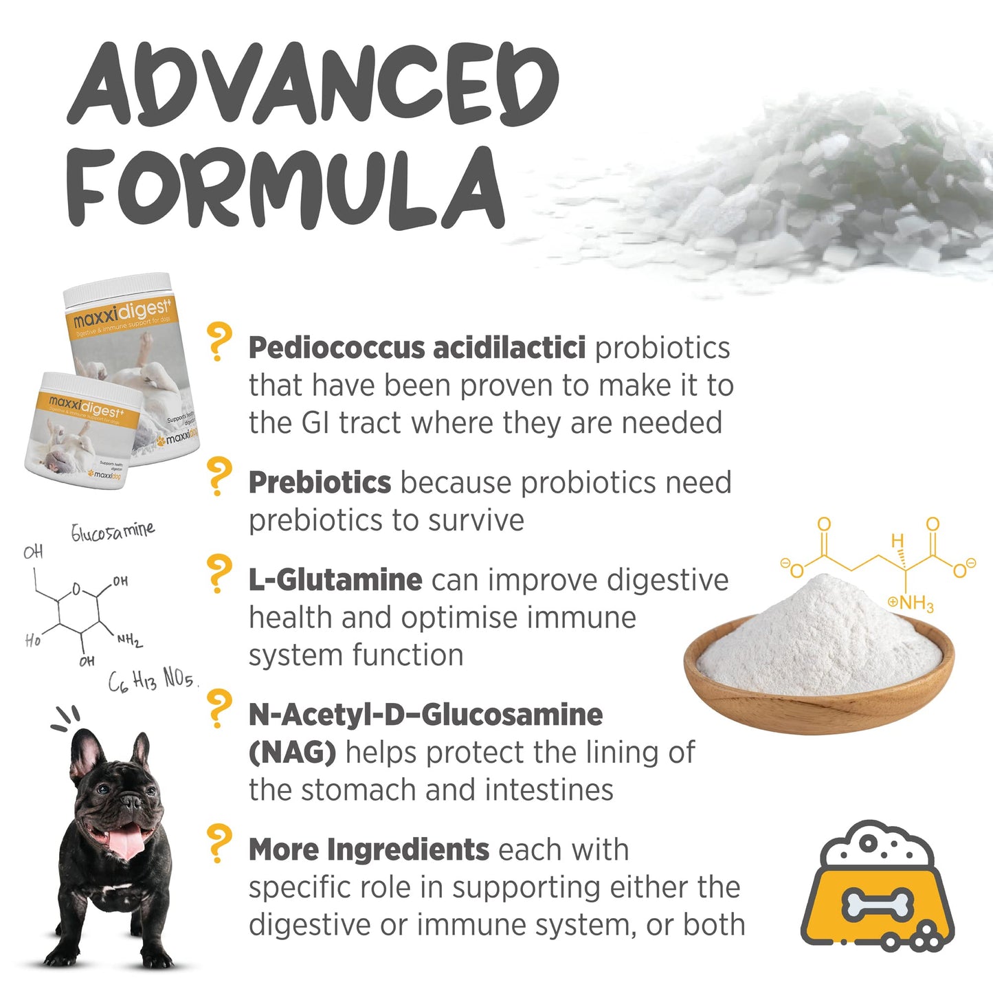 maxxipaws maxxidigest+ Prebiotic & Probiotic for Dogs 13.2oz | Dog Probiotic Powder with Advanced Digestive Enzymes for Gut Health & Immunity | Supports Digestion, Food Sensitivities & Itchy Skin