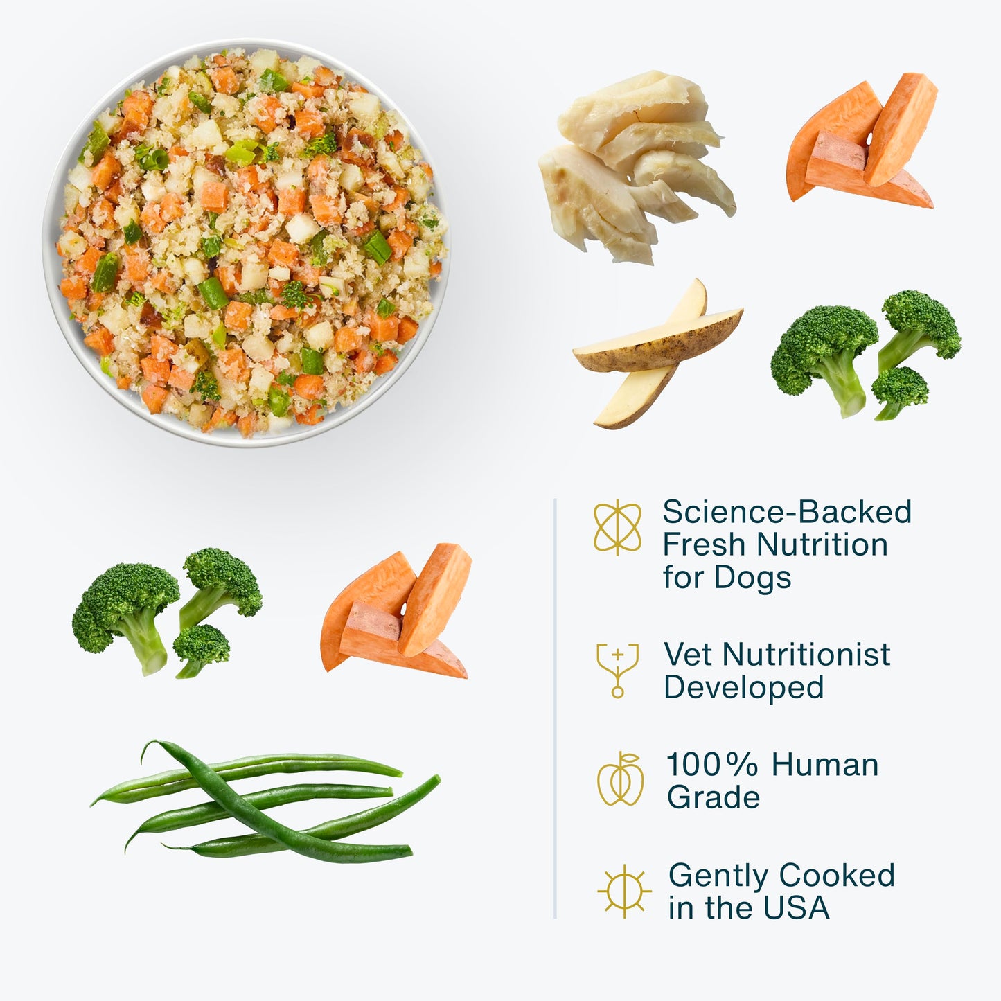 JustFoodForDogs Frozen Fresh Dog Food, Complete Meal or Dog Food Topper, Fish & Sweet Potato Human Grade Dog Food Recipe, 18 oz (Pack of 21)